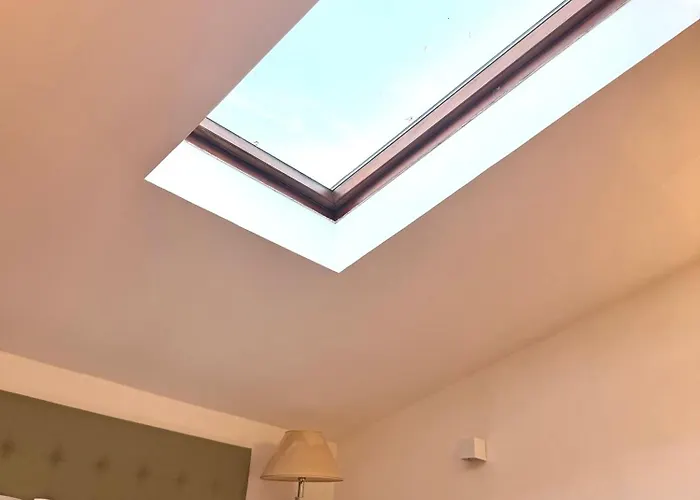 Attic Garden