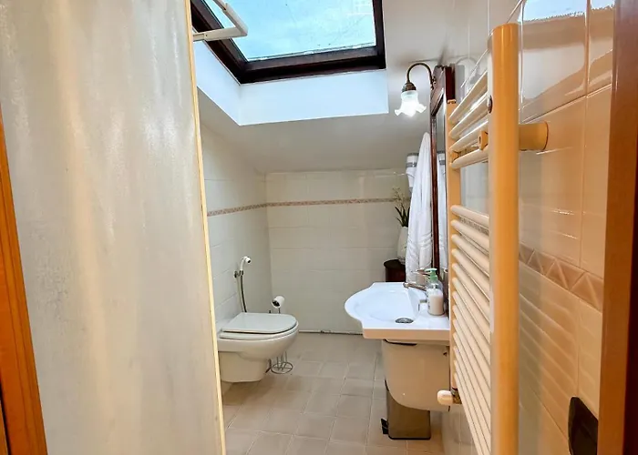 Attic Garden